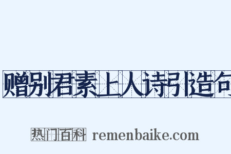 赠别君素上人诗引造句是什么意思的图片